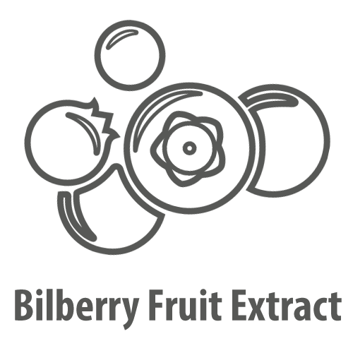 Bilberry Fruit Extract