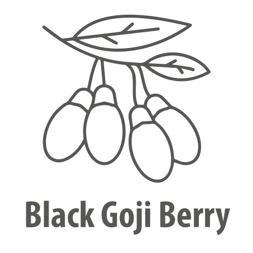 Black Goji Berry