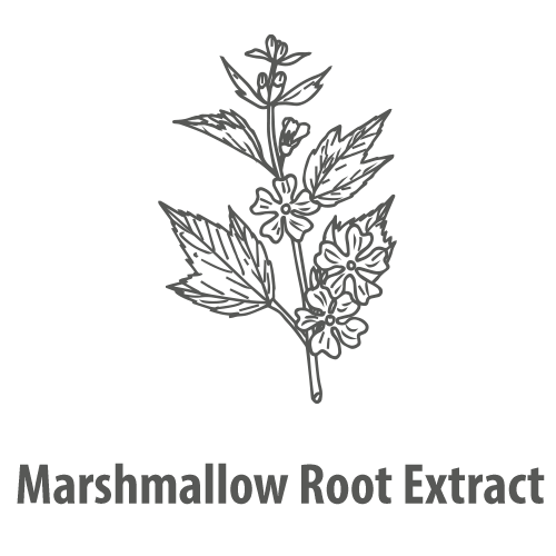 Marshmallow Root Extract