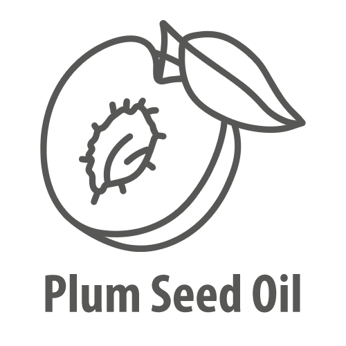 Plum Seed Oil
